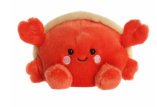 5" TIDE HERMIT CRAB