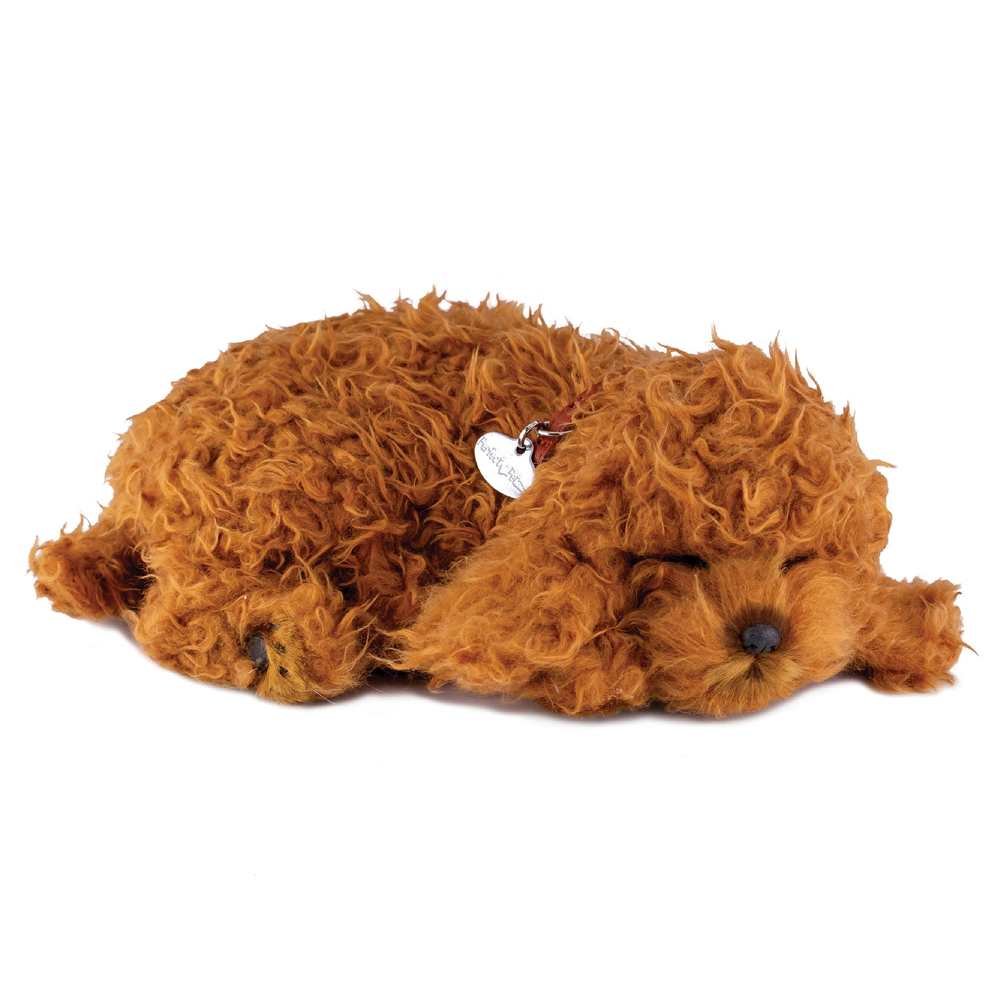 Perfect Petzzz Toy Poodle