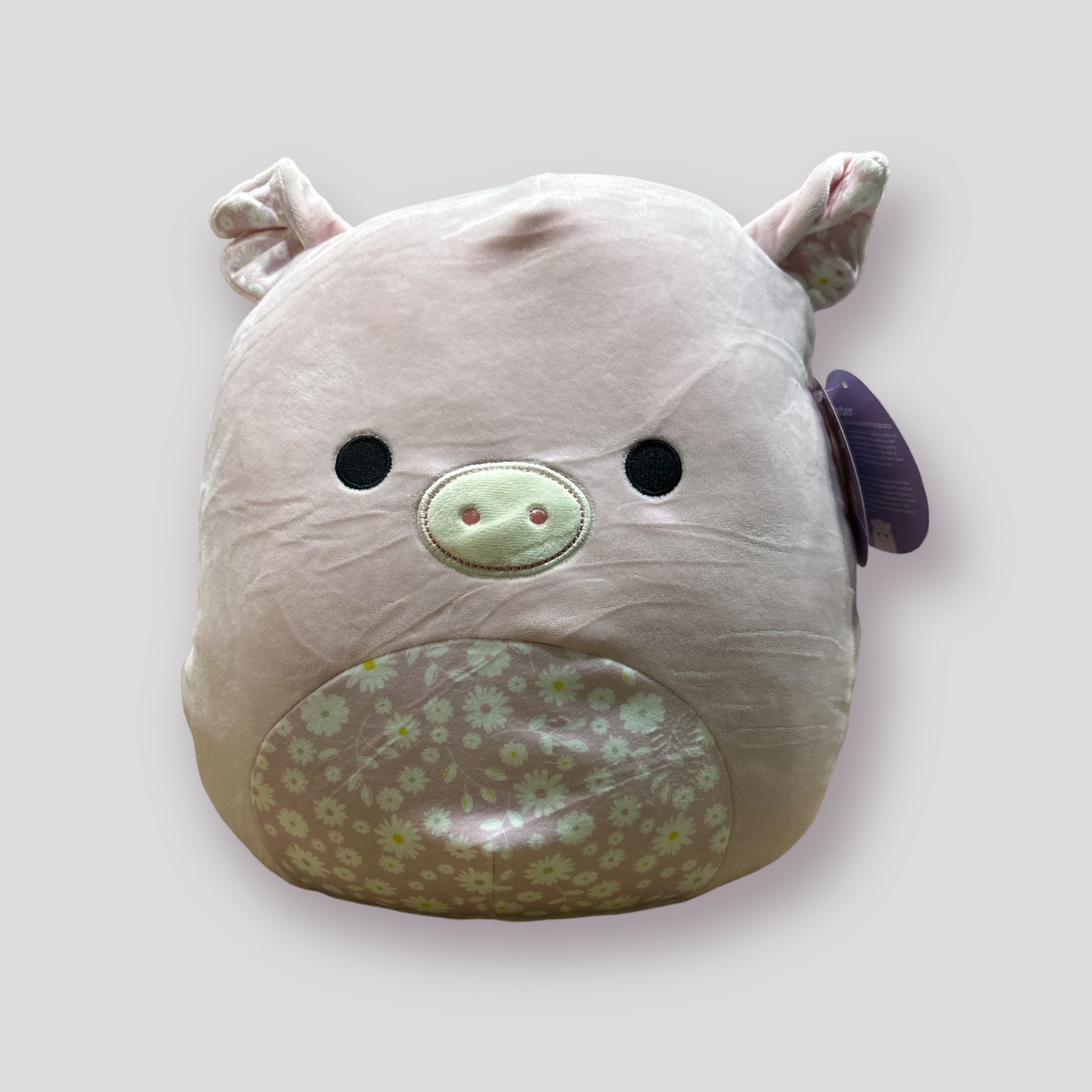 Peter 12" Easter B