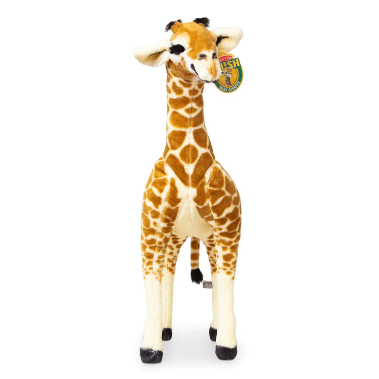 Standing Baby Giraffe