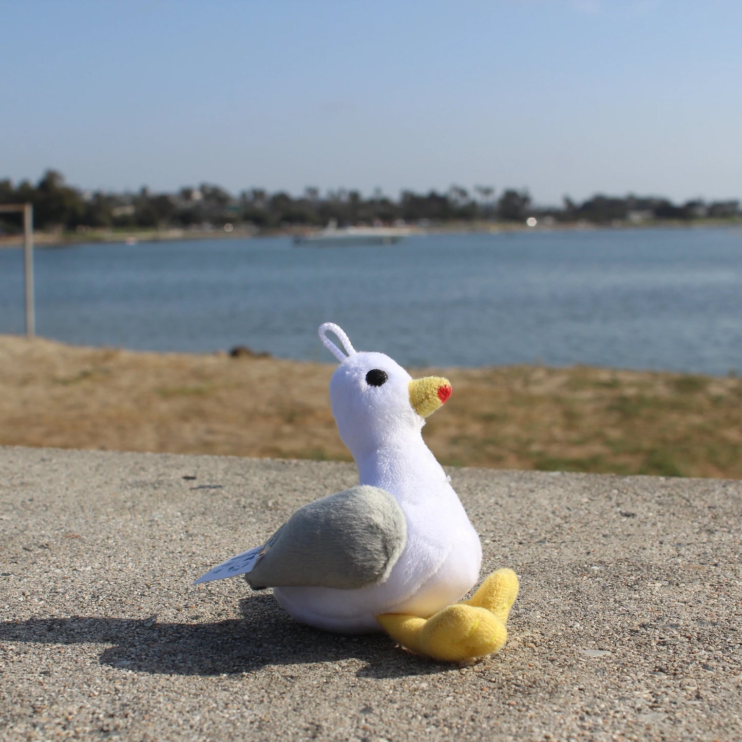 Stephen Seagull (keychain)