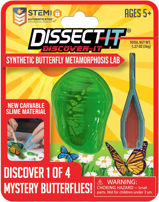 Dissect It Synthetic Butterfly Metamorphosis Lab