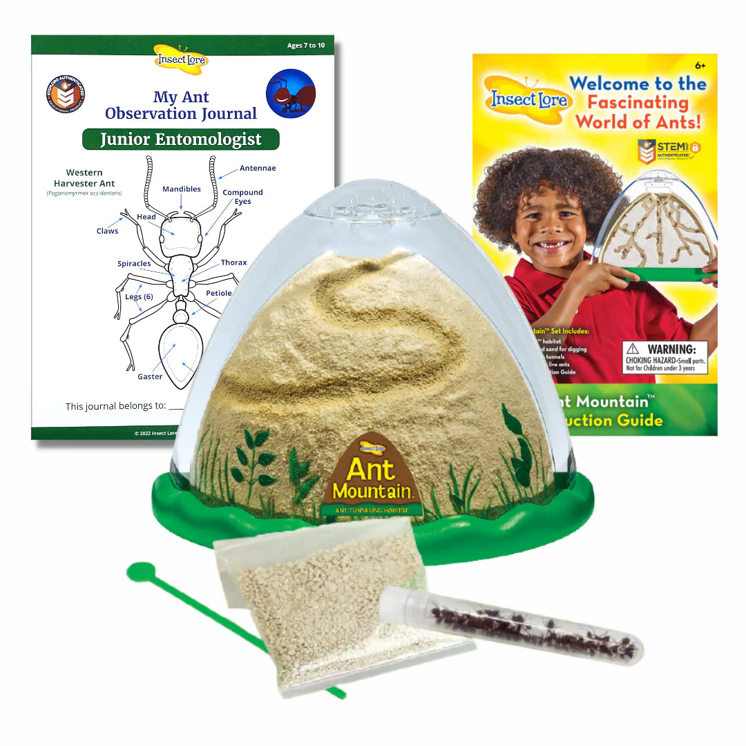 Insect Lore Ant Farm Two Sided Ant Mountain For Children Ready Set Play