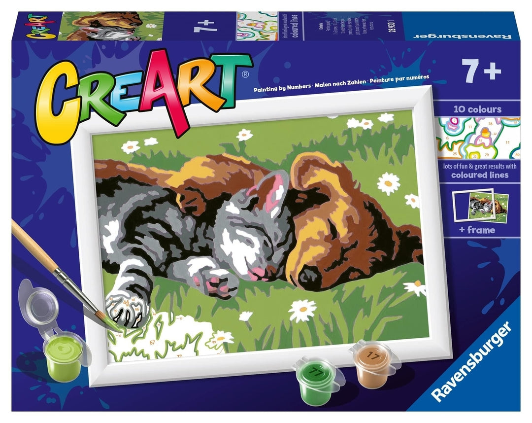 Creart Sleeping Cat & Dog Paint by Numbers Kit for Kids