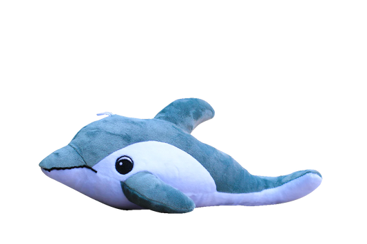 Finn The Dolphin