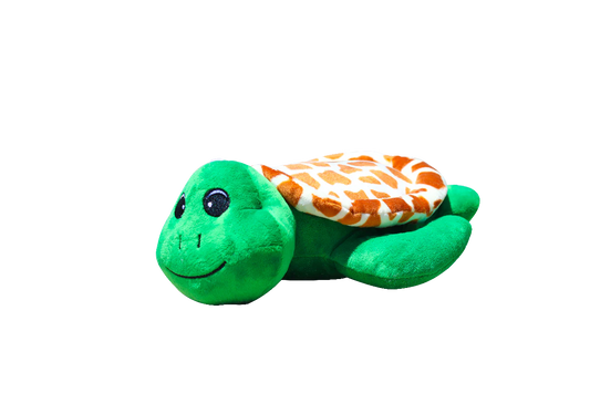 Shelly The Sea Turtle