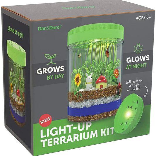 Light-Up Terrarium Kit