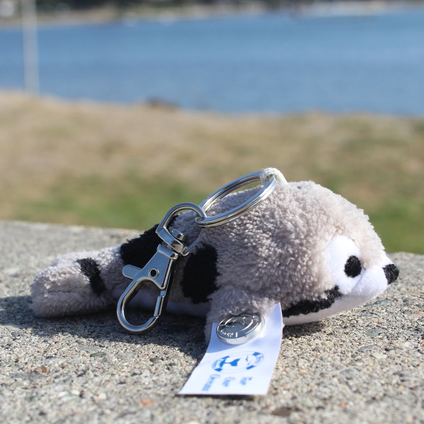 Sammy the Seal (keychain)
